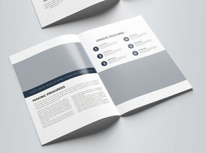 簡約大氣藍(lán)色科技公司軟件開發(fā)宣傳冊模板